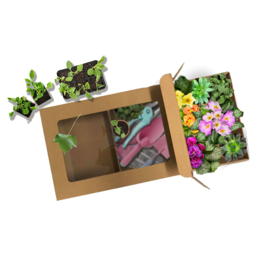 Small Gourmet Display Box - Kraft