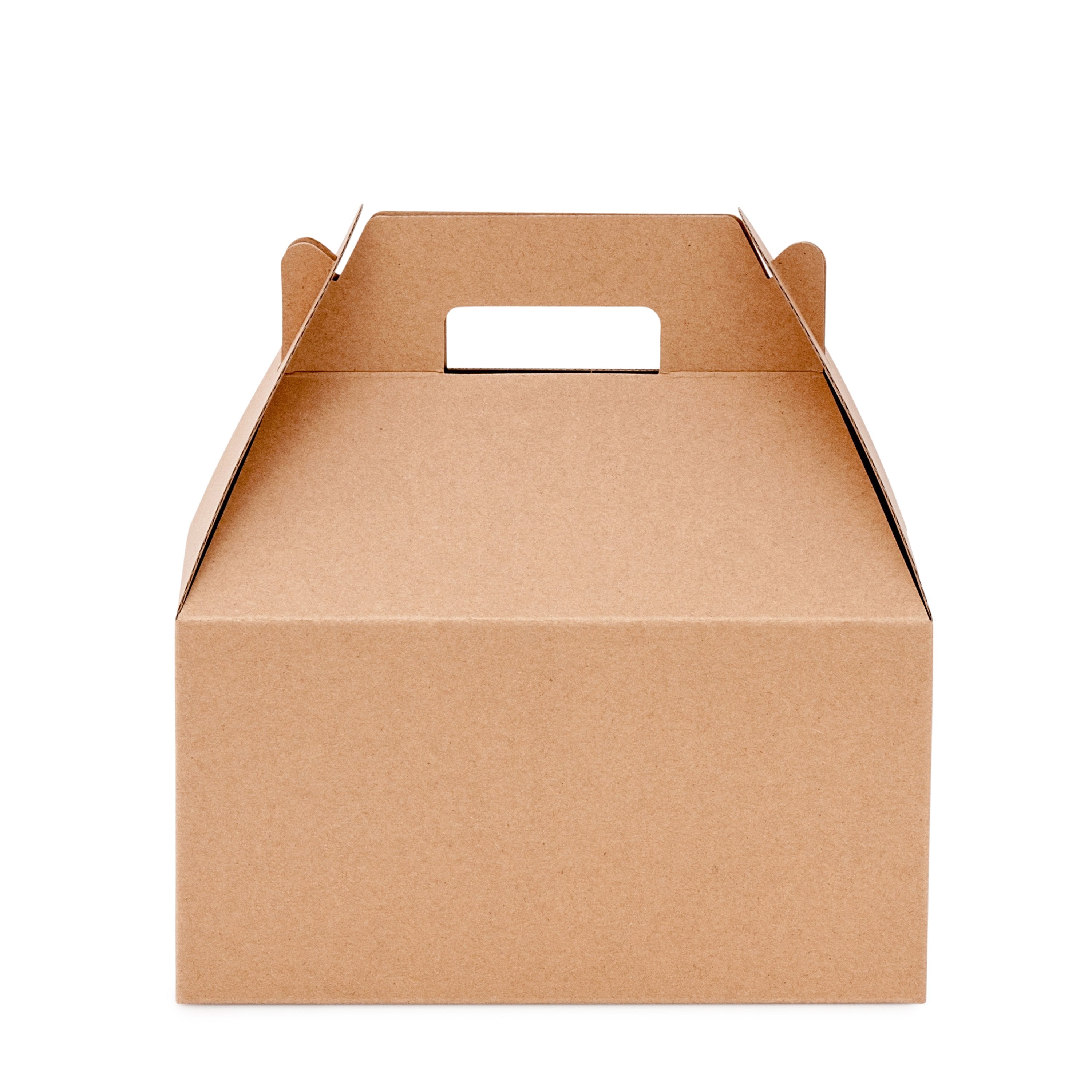 Large Carry Pack - Kraft