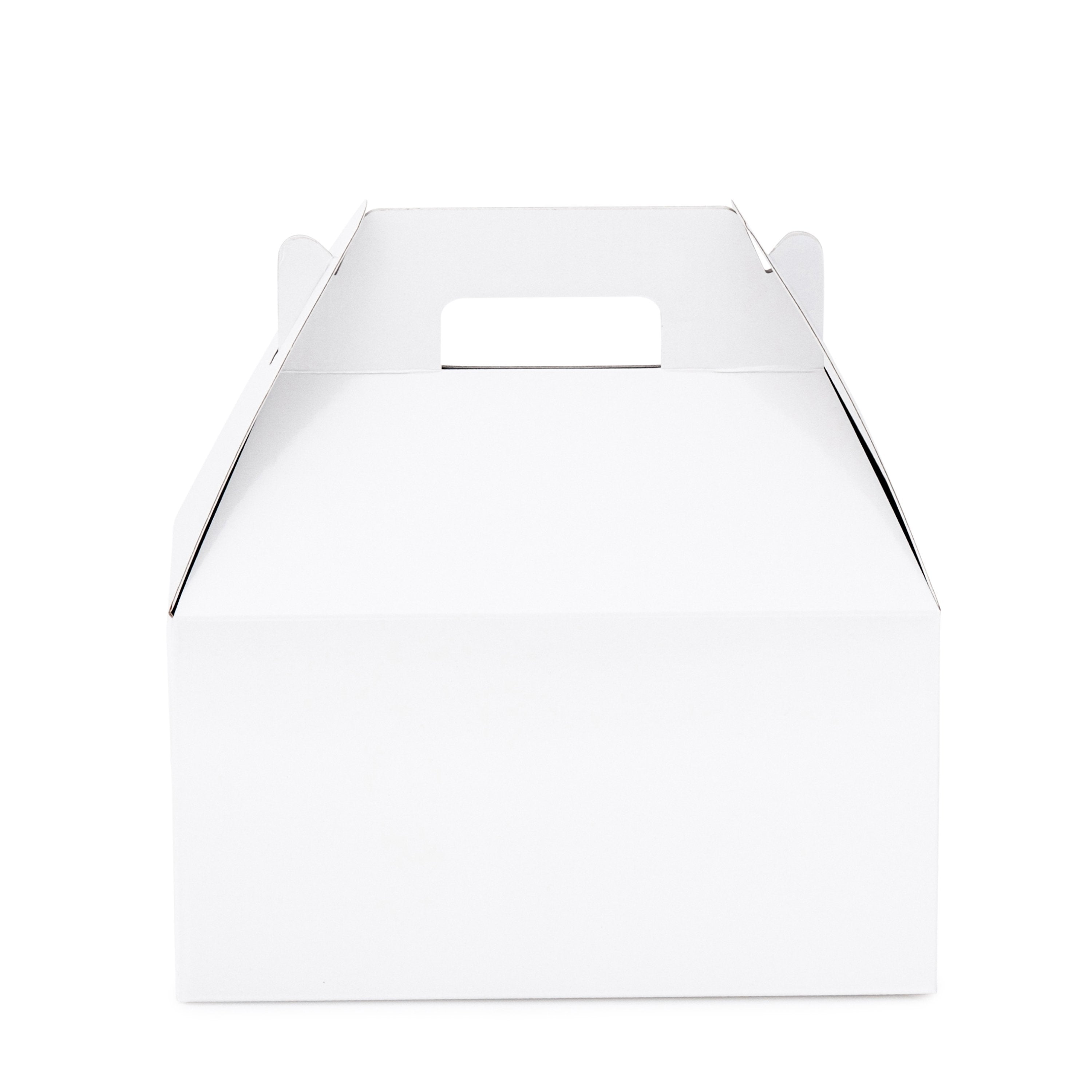 Large Carry Pack - Gloss White - Sample