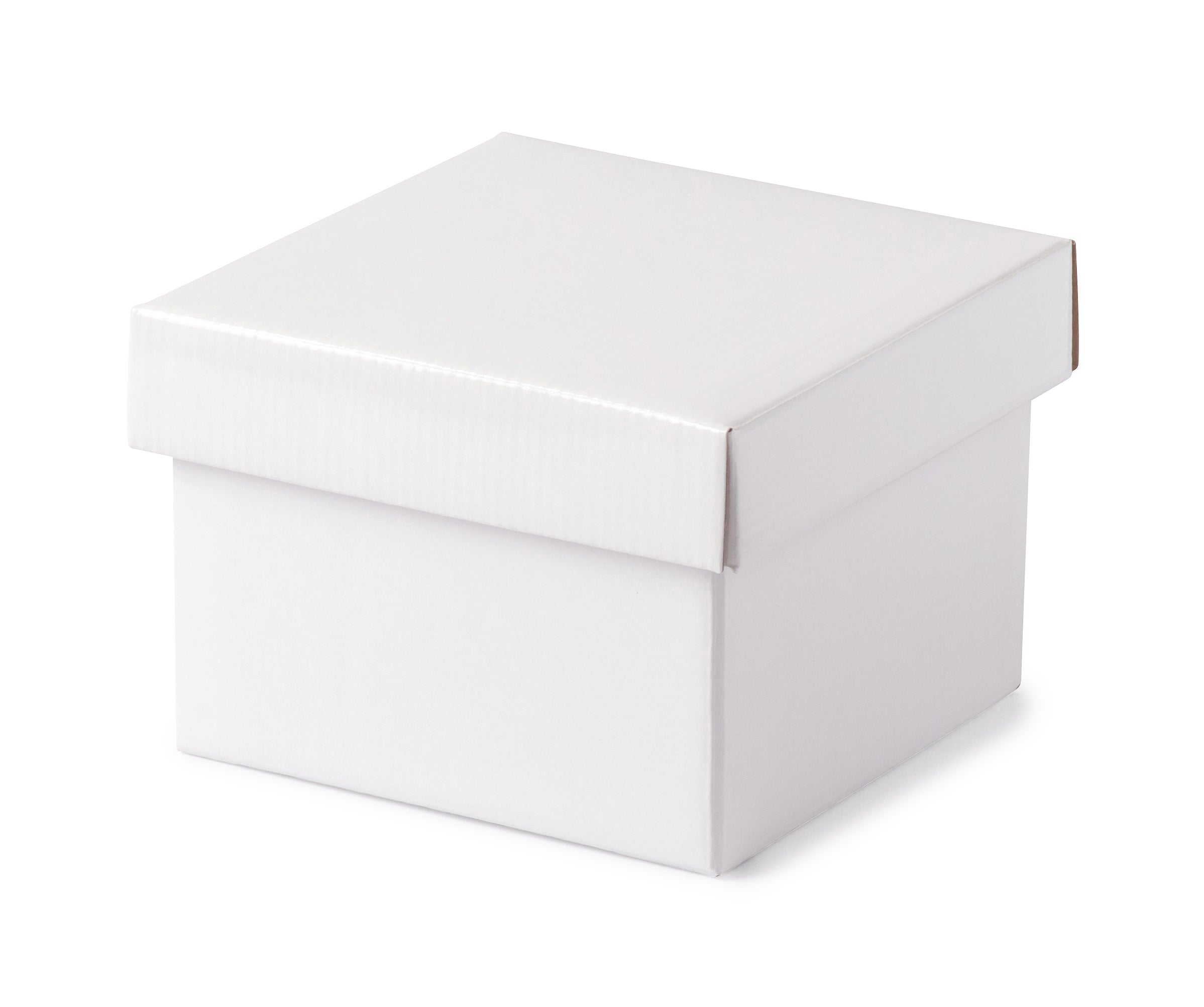 Medium Gift Box - Gloss White