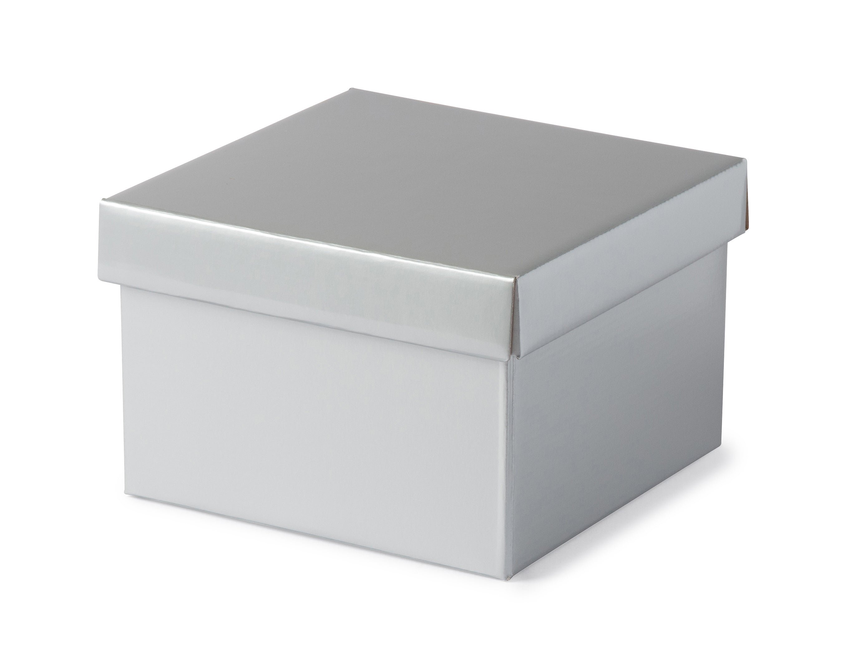 Large Gift Box - Gloss Silver