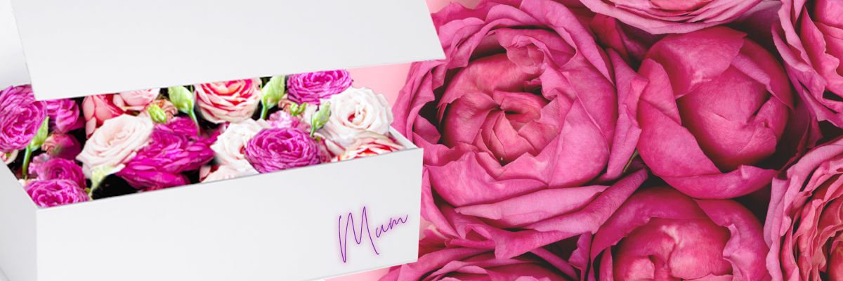 Home Away from Home: Making Mum Feel Special This May