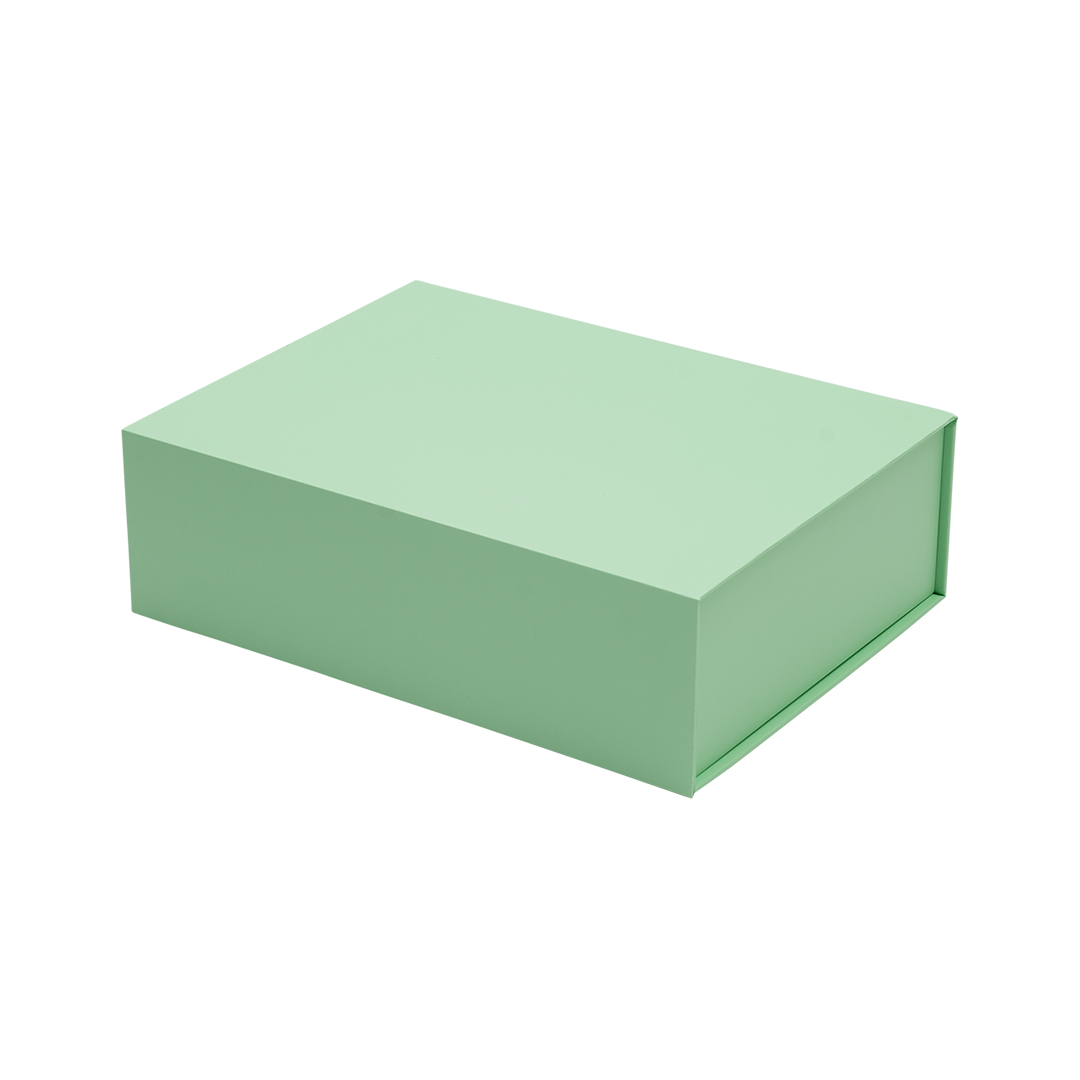 Hamilton Case Box 1 - Matt Pastel Mint Emboss Magnetic Closure - Sample