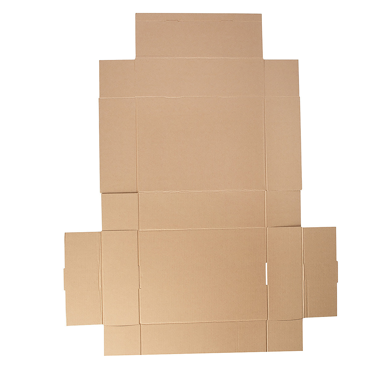 Cake & 6 Donut Shipper Box - Kraft