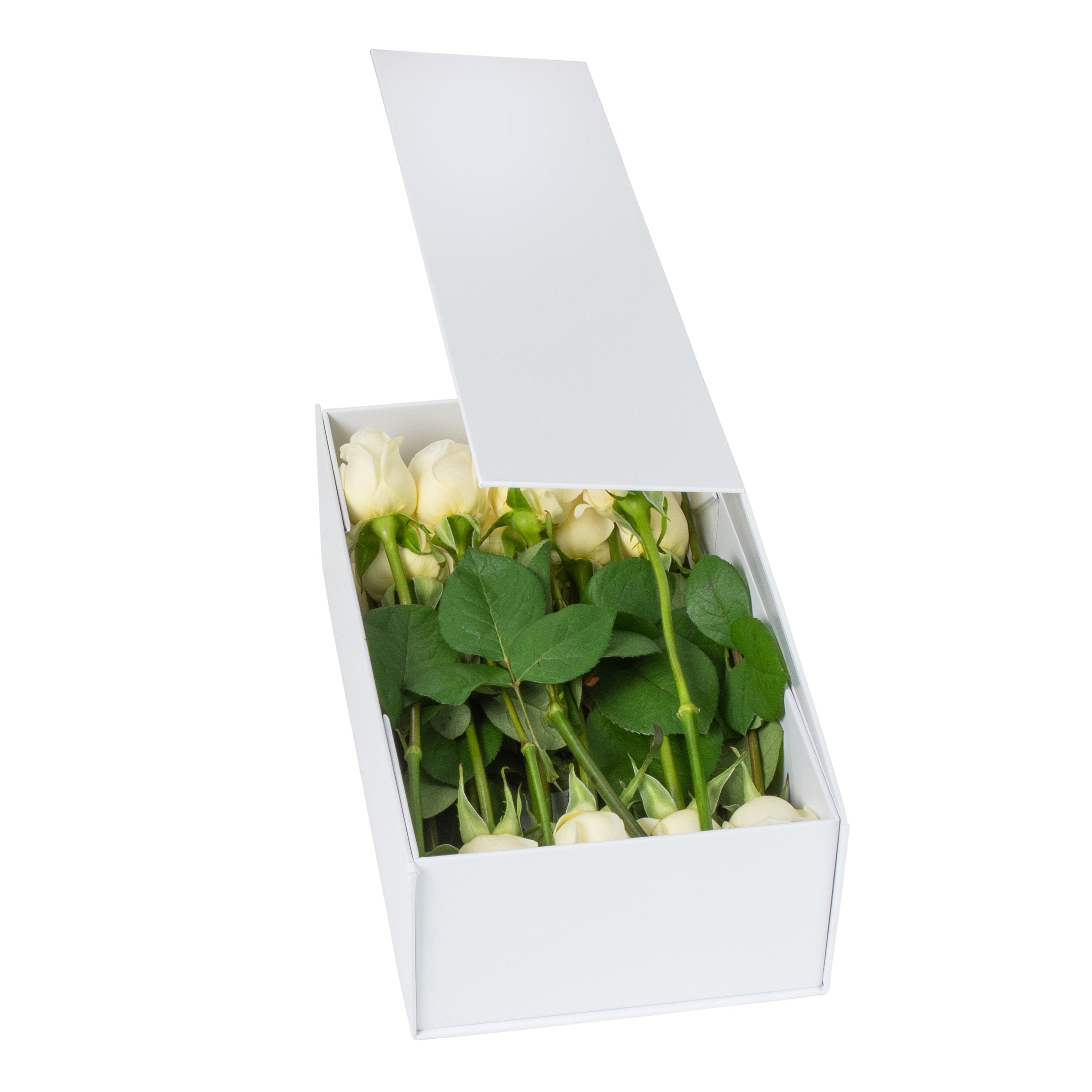 Hamper Box - Rectangle, Magnetic Closure Medium, Matt White - Sample
