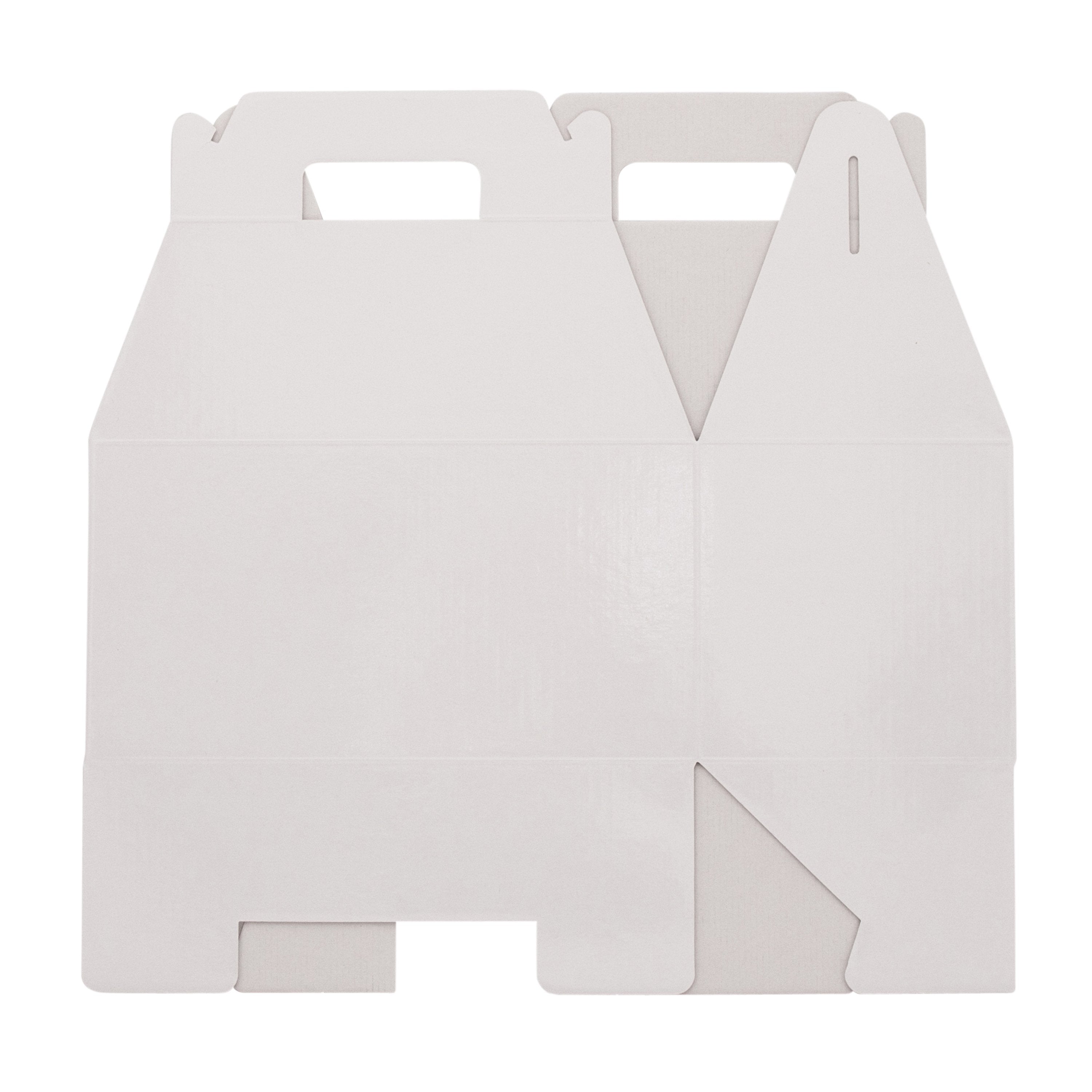 Large Carry Pack - Gloss White