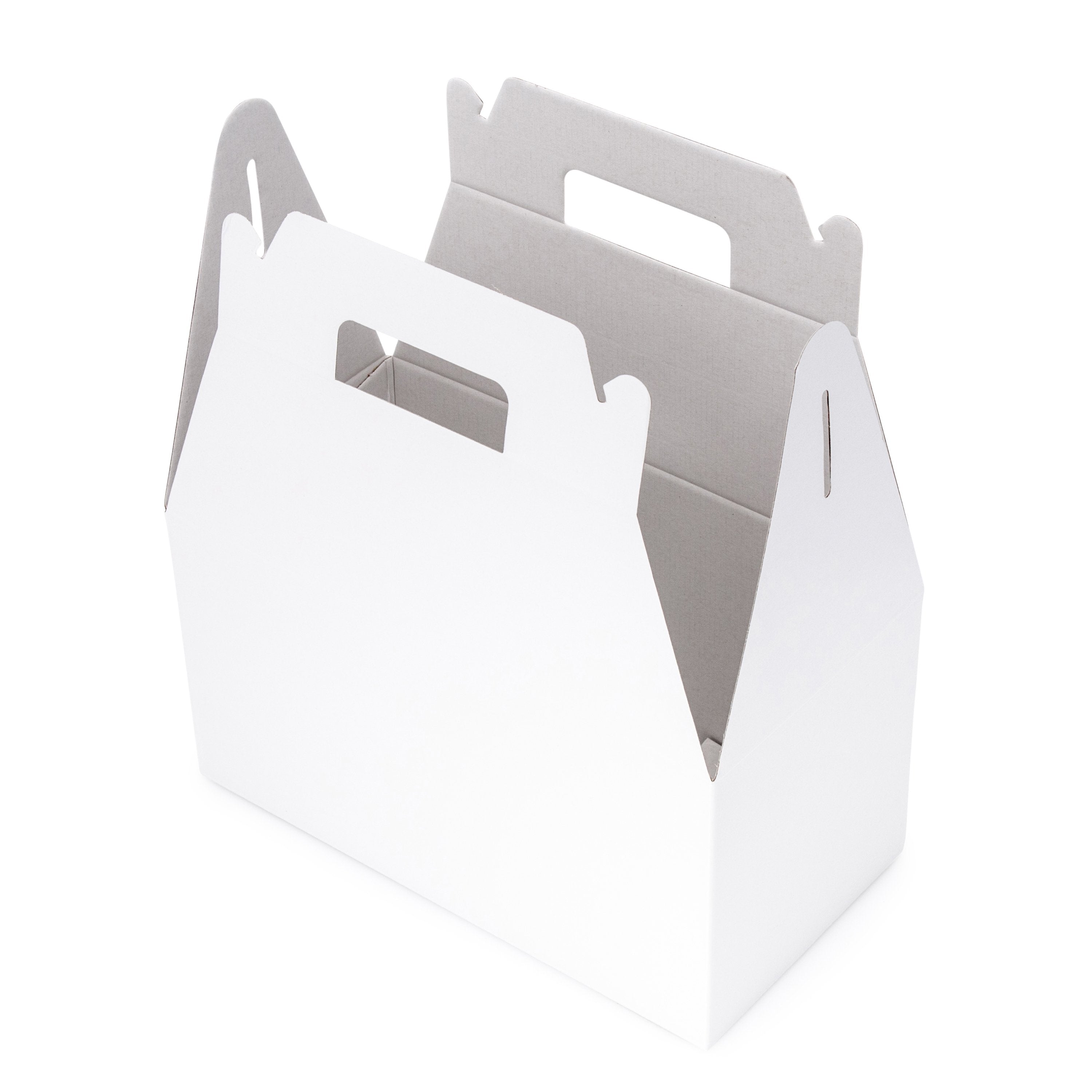 Large Carry Pack - Gloss White - Sample