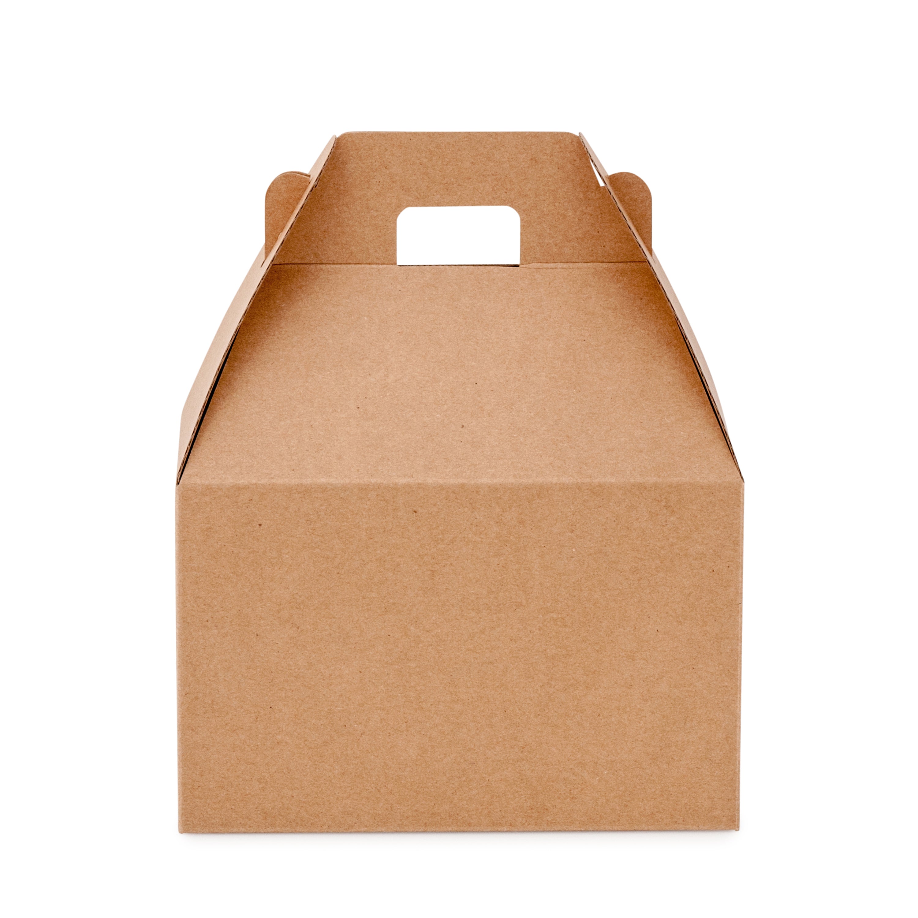 Small Carry Pack - Kraft