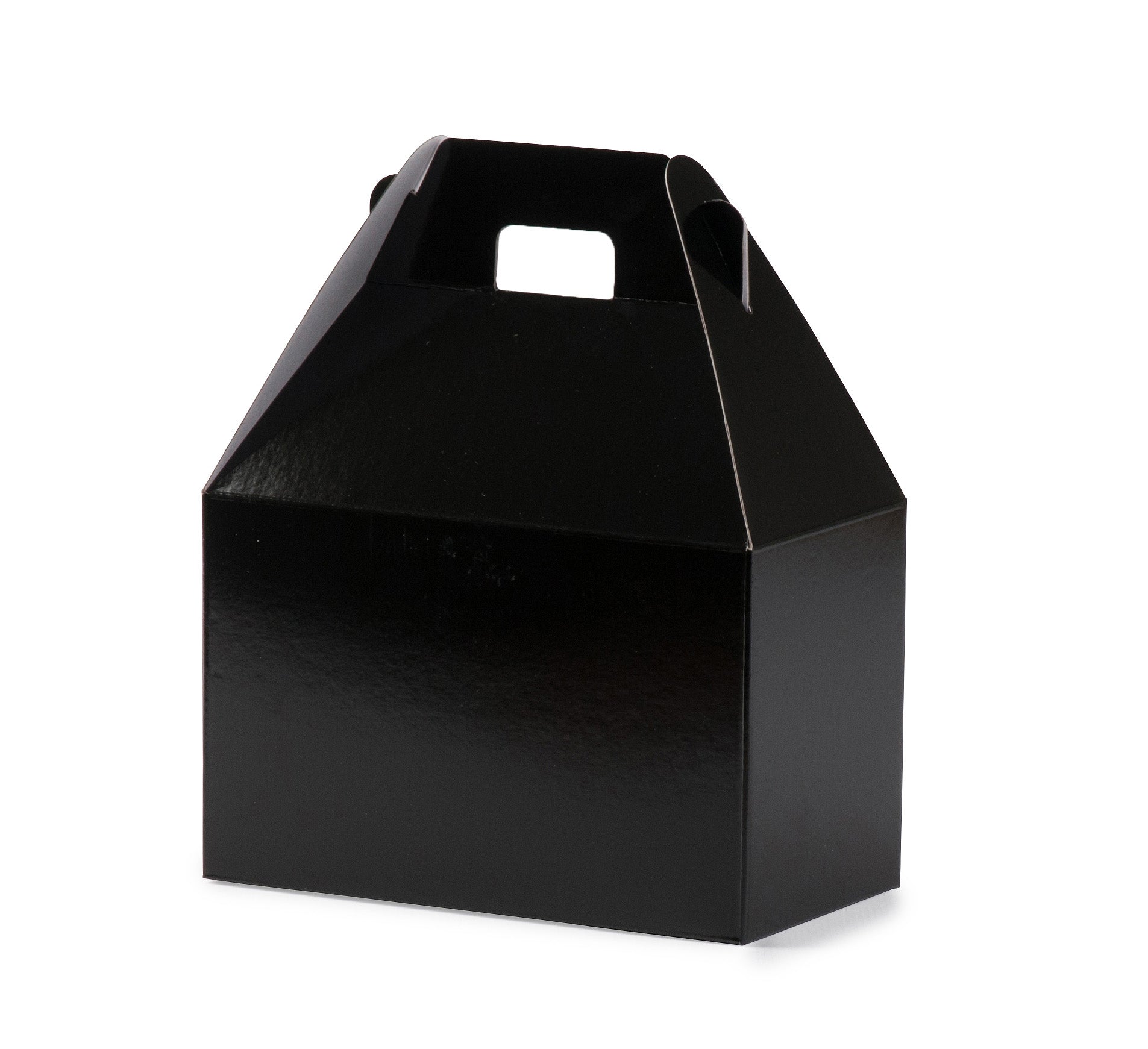 Small Carry Pack - Gloss Black